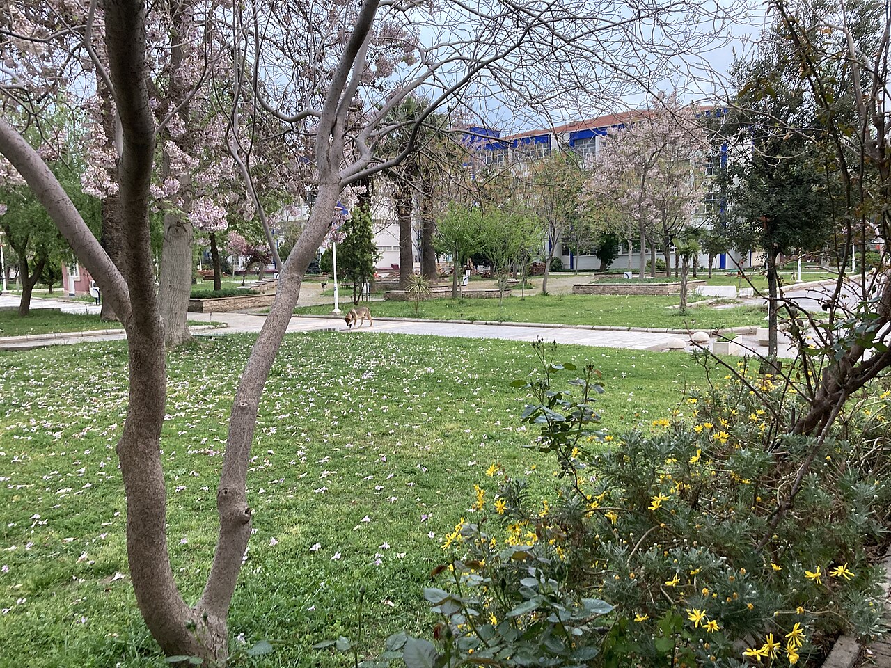 Bornova'da Bilim ve Yeşil: Ege Üniversitesi Botanik Bahçesi