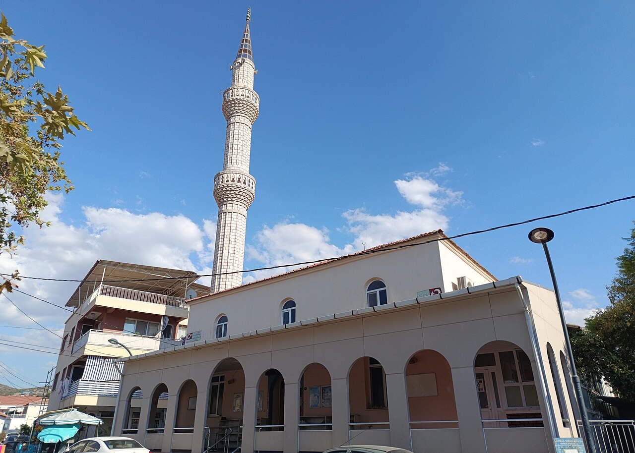 Dikili Bademli'de Zeytin Hasadı Başladı