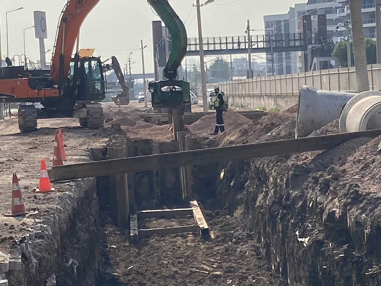 Çiğli Sasalı: Havalimanına En Yakın Doğal Yaşam Parkı